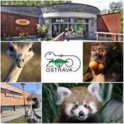 ZOO Ostrava